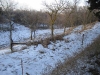 North part of Pasture 